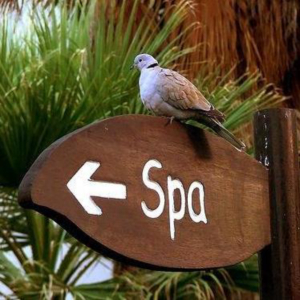 LÀM SAO ĐỂ CÓ KINH NGHIỆM QUẢN LÝ SPA HIỆU QUẢ